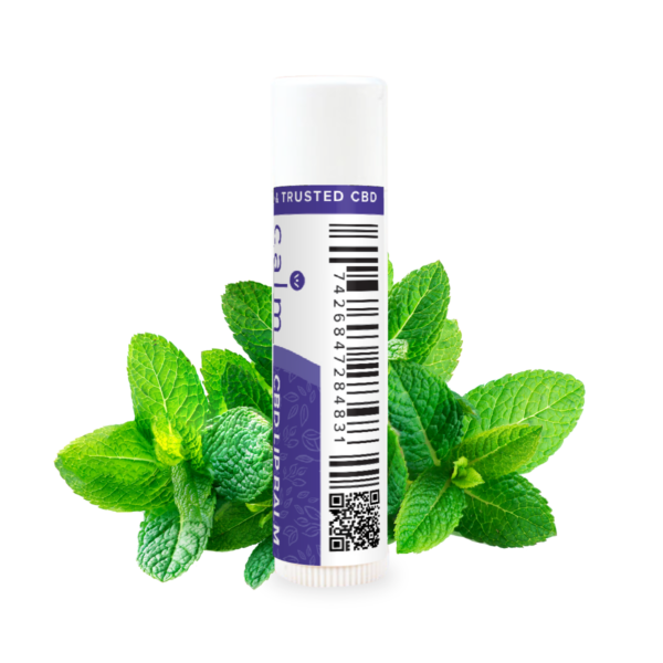CBD Lip Balm - Image 4