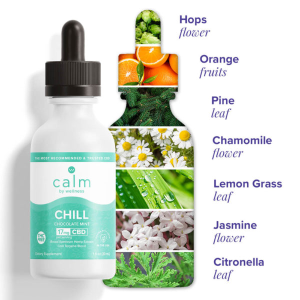 Hemp CBD Chill Oil Tincture - Image 2