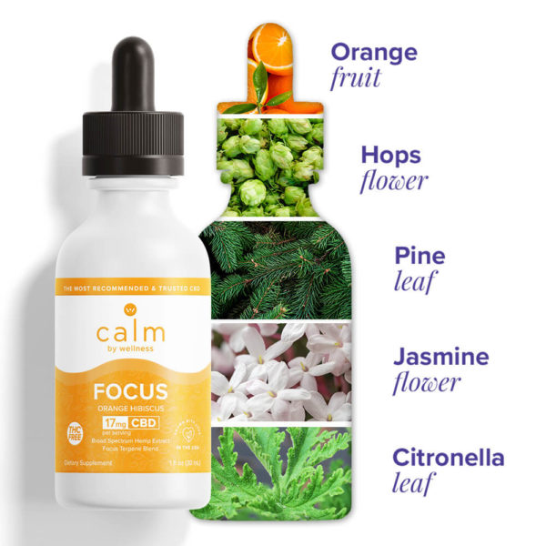 Hemp CBD Focus Oil Tincture - Image 2